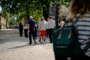 Da Cracovia: tour di Auschwitz-Birkenau e della miniera di sale di Wieliczka