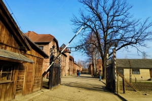 Krakau: Auschwitz-Birkenau & Wieliczka Zoutmijn met Lunch
