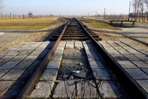 Krakau: Auschwitz-Birkenau & Wieliczka Zoutmijn met Lunch