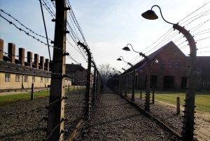 Krakau: Auschwitz-Birkenau & Wieliczka Zoutmijn met Lunch