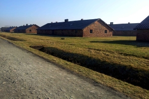 Krakau: Auschwitz-Birkenau & Wieliczka Zoutmijn met Lunch
