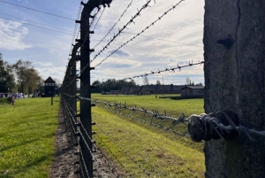 Krakau: Auschwitz-Birkenau & Wieliczka Zoutmijn met Lunch