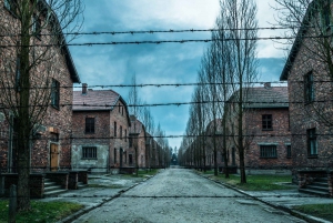 Kraków: Auschwitz-Birkenau & Wieliczka Salt Mine with Pickup
