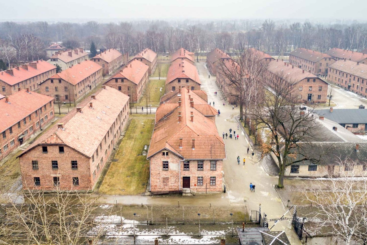 Krakow: Auschwitz Guided Tour with Pickup and Optional Lunch