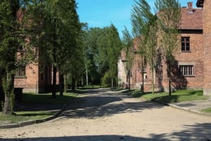 Krakow: Auschwitz Museum and Wieliczka Salt Mine Tour
