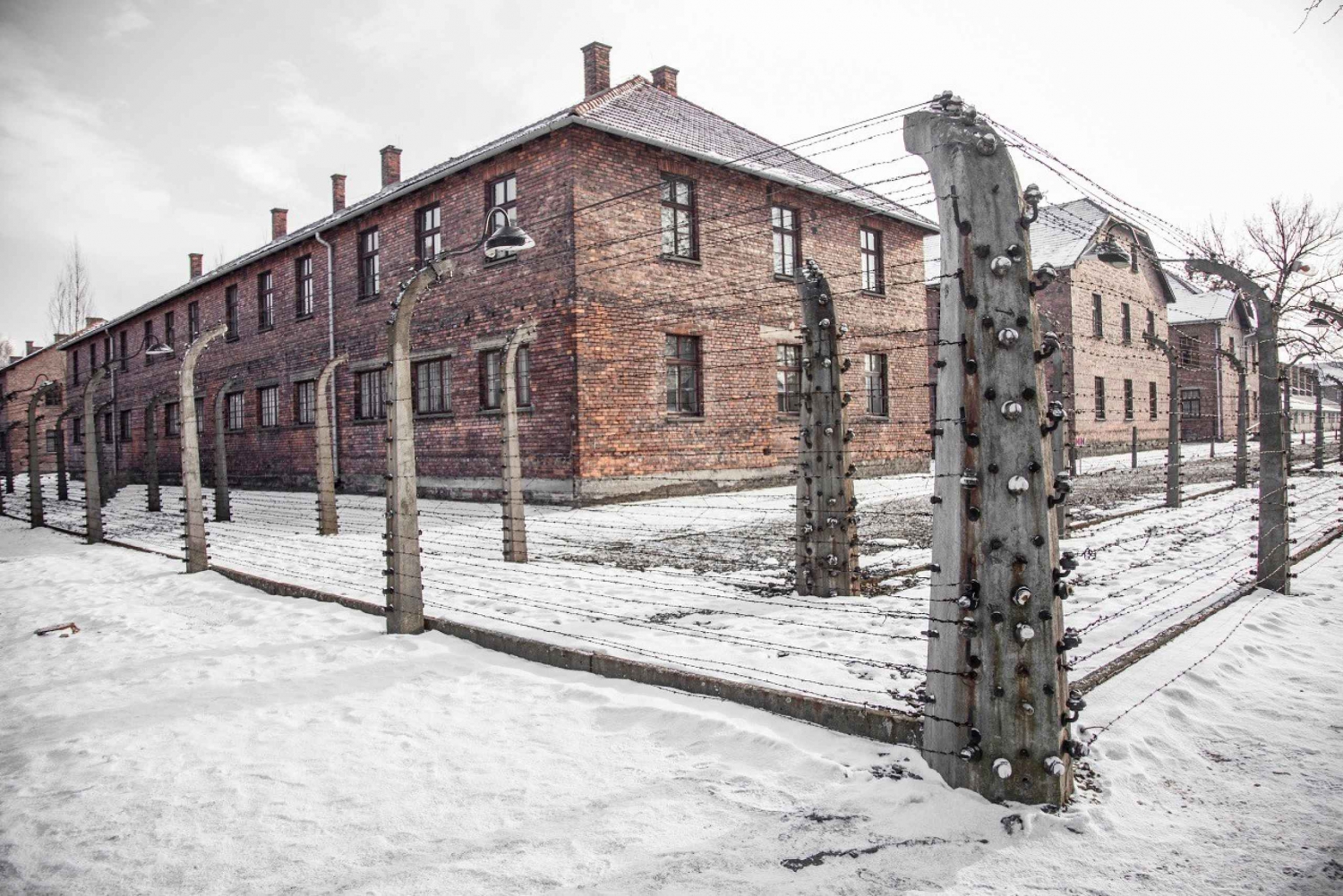 Krakow: Auschwitz & Schindler's Factory Day Trip with Guide