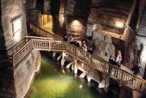 Cracovie : Auschwitz et mine de sel de Wieliczka visite guidée d'une journée