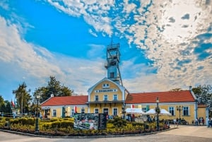 Cracovie : Auschwitz et mine de sel de Wieliczka visite guidée d'une journée