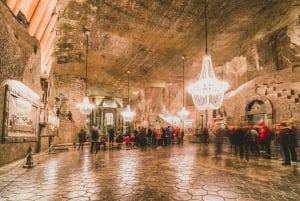 Cracovie : Auschwitz et mine de sel de Wieliczka visite guidée d'une journée