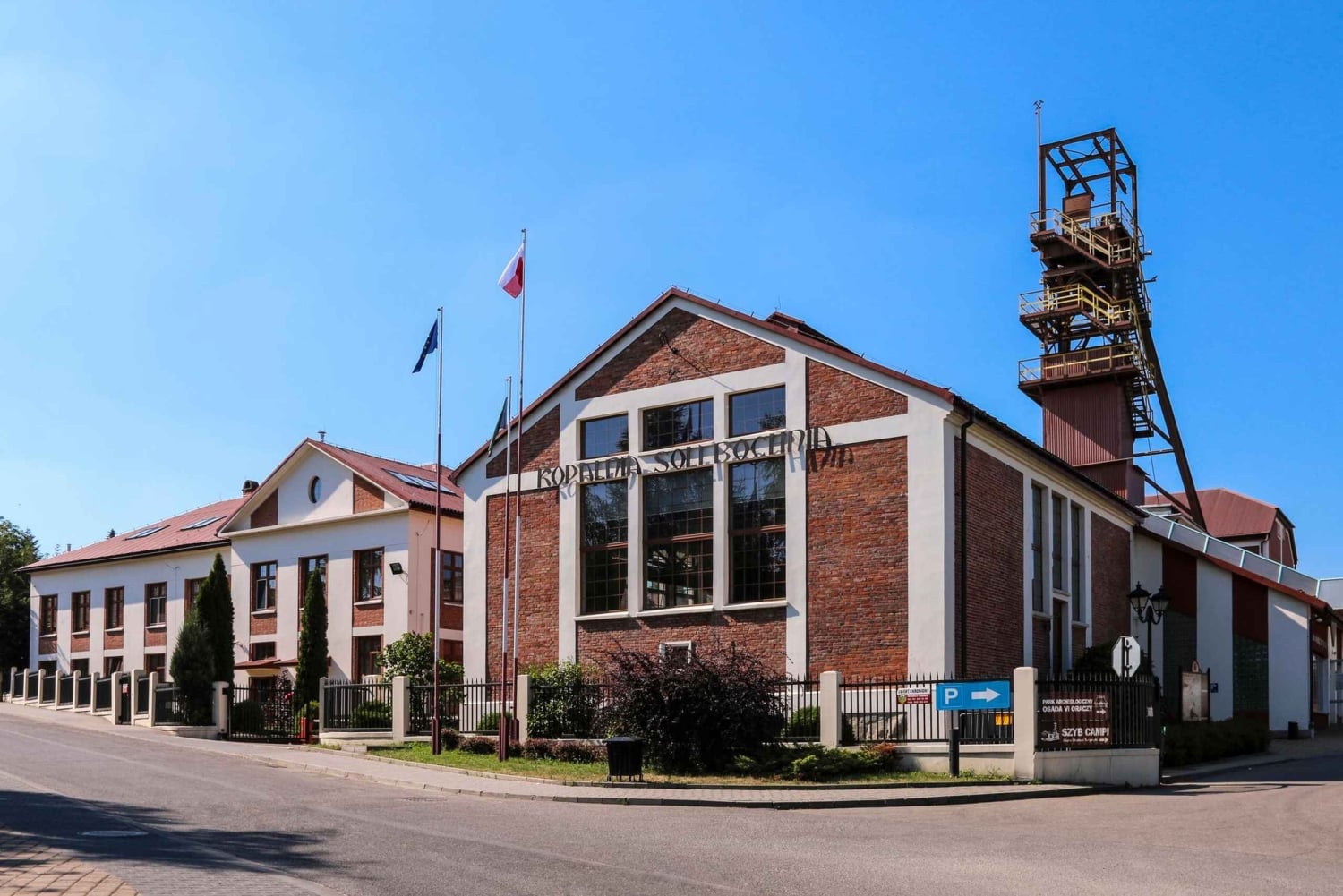 Kraków: Prywatna wycieczka do Królewskiej Kopalni Soli w Bochni