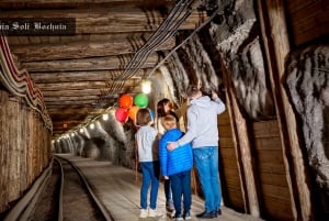 Kraków: Privat tur til den kongelige saltmine i Bochnia