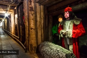 Cracovia: Tour privado de las Reales Minas de Sal de Bochnia