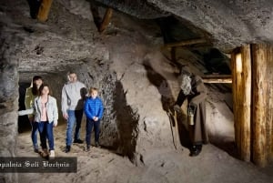 Kraków: Privat tur til den kongelige saltmine i Bochnia