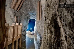 Cracovia: Tour privado de las Reales Minas de Sal de Bochnia
