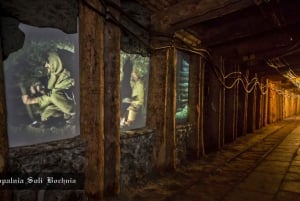 Cracovia: Tour privado de las Reales Minas de Sal de Bochnia