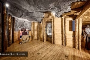 Cracovia: Tour privado de las Reales Minas de Sal de Bochnia