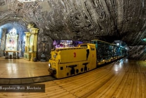 Cracovia: Tour privado de las Reales Minas de Sal de Bochnia
