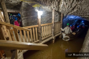 Cracovia: Tour privado de las Reales Minas de Sal de Bochnia