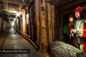 Kraków: Prywatna wycieczka do Królewskiej Kopalni Soli w Bochni