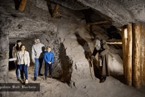 Kraków: Prywatna wycieczka do Królewskiej Kopalni Soli w Bochni