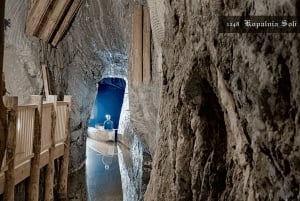 Kraków: Prywatna wycieczka do Królewskiej Kopalni Soli w Bochni