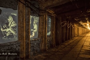 Kraków: Prywatna wycieczka do Królewskiej Kopalni Soli w Bochni