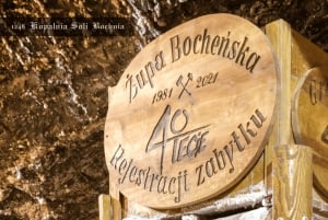 Kraków: Prywatna wycieczka do Królewskiej Kopalni Soli w Bochni