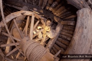 Kraków: Prywatna wycieczka do Królewskiej Kopalni Soli w Bochni