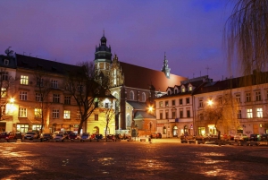 Krakow by Night: 1.5-Hour Tour by Electric Car