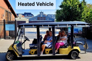 Cracóvia: passeio turístico pela cidade num carrinho de golfe elétrico