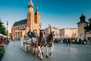 Krakow: City Tour By Electric Car & Wawel Hill Audio Guide
