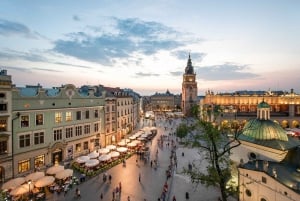 Krakow: City Tour By Electric Car & Wawel Hill Audio Guide