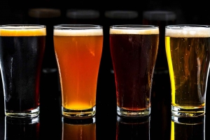Krakau: Craft Beer Verkostungstour