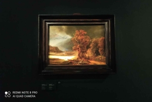 Cracovia: Tour guidato del Museo Czartoryski in inglese