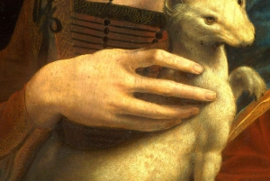 Cracovia: Tour guidato del Museo Czartoryski in inglese