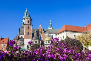 Krakow: Day Tour to the Wieliczka Salt Mine and Wawel Hill