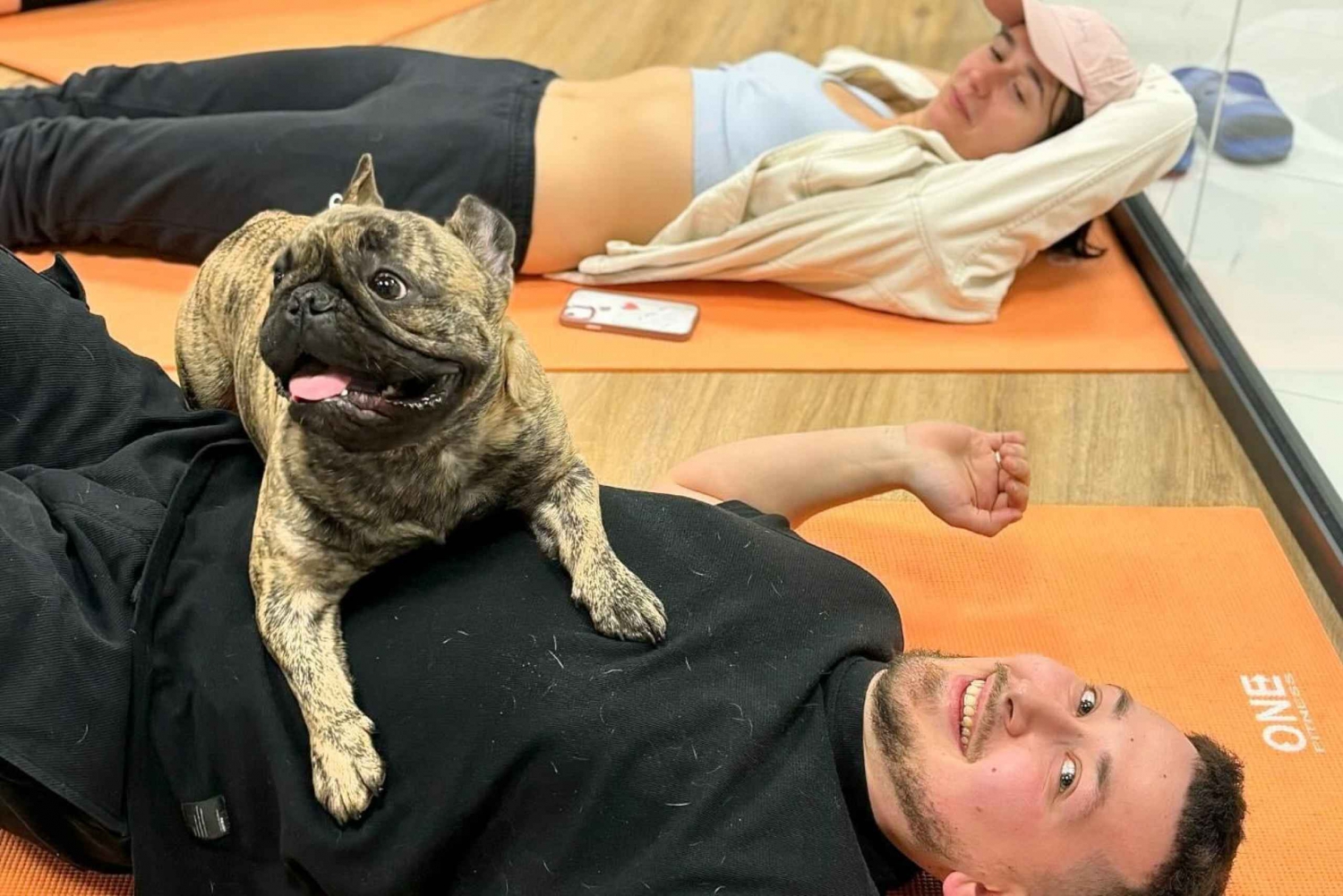 Krakau: Doggy Yoga mit süßen Welpen