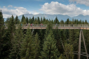 Krakow: Dunajec Rafting, Treetop Walk & Thermal Baths Tour