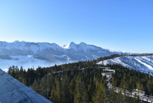 Krakow: Dunajec Rafting, Treetop Walk & Thermal Baths Tour