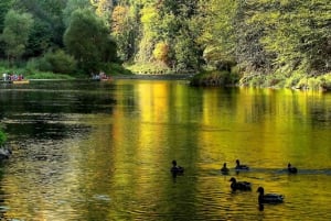 Krakau: Dunajec Rafting, Treetop Walk & Thermal Baths Tour