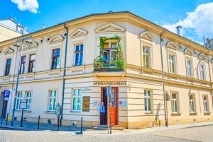 Krakow: Electric Car Sightseeing Tour