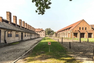 Krakovan kokemus: lentokenttäkuljetukset, Auschwitz ja suolakaivos