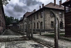 Krakovan kokemus: lentokenttäkuljetukset, Auschwitz ja suolakaivos