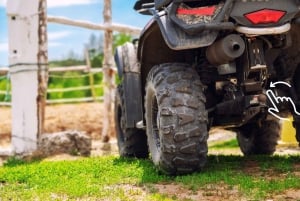 Krakow: Extreme Off-Road Quad Bike Tour with BBQ Lunch