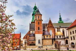 Kraków: Pierwszy spacer odkrywczy i piesza wycieczka czytelnicza