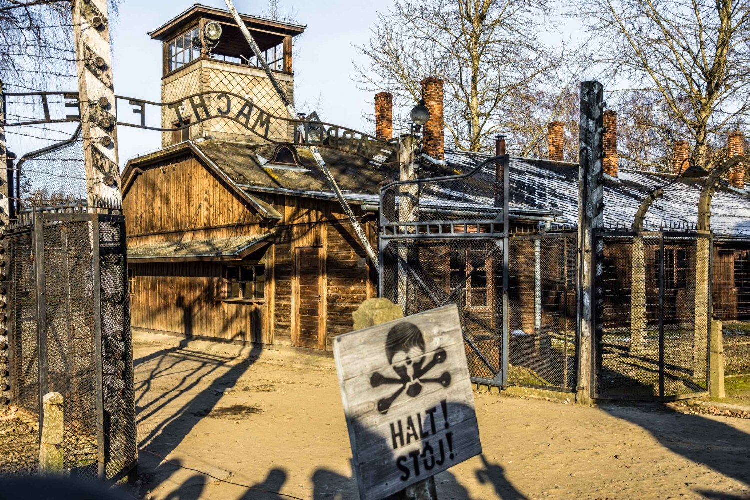 Krakow: Full-Day Auschwitz-Birkenau Sightseeing Tour