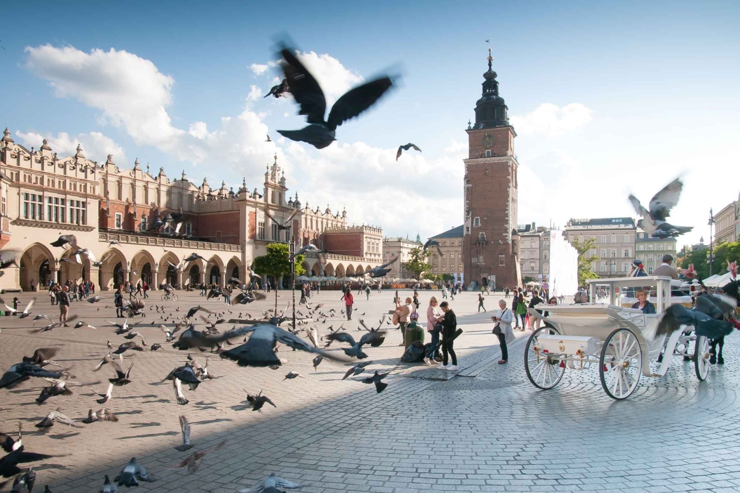 Krakova: koko päivän yksityinen kiertoajelu Varsovasta