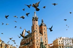 Krakova: koko päivän yksityinen kiertoajelu Varsovasta
