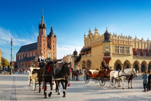 Krakau: Ganztagestour private Tour ab Warschau