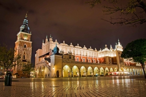 Krakau: dagvullende tour vanuit Warschau